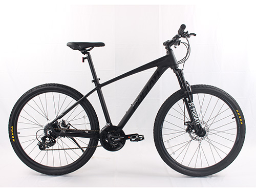XT820  24